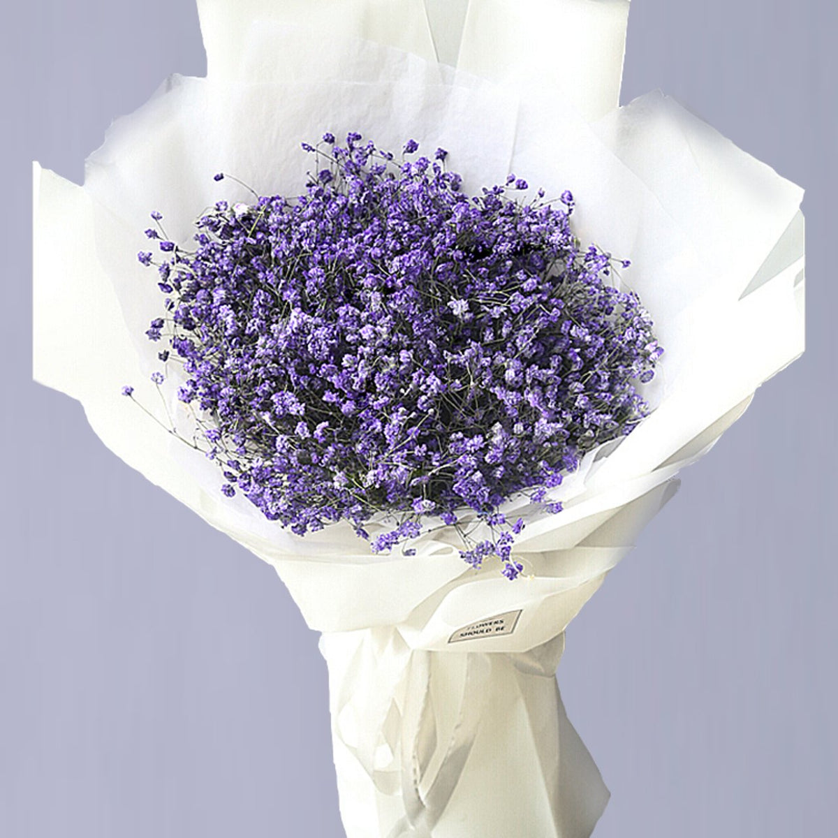 Silent dedication(
Large bunch of purple gypsophila
-