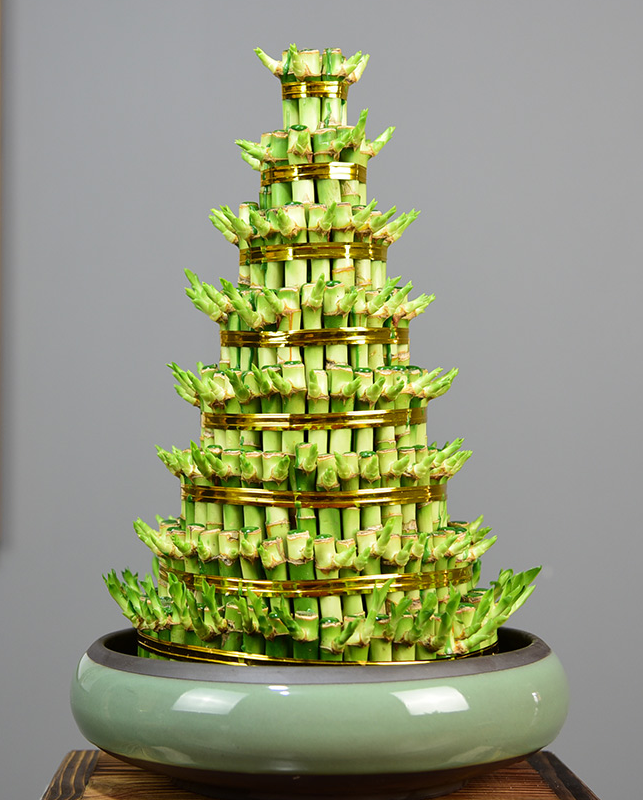 lucky bamboo art Lucky Bamboo – SammyGift