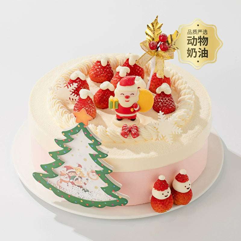 Meet Santa Claus Birthday Cake
