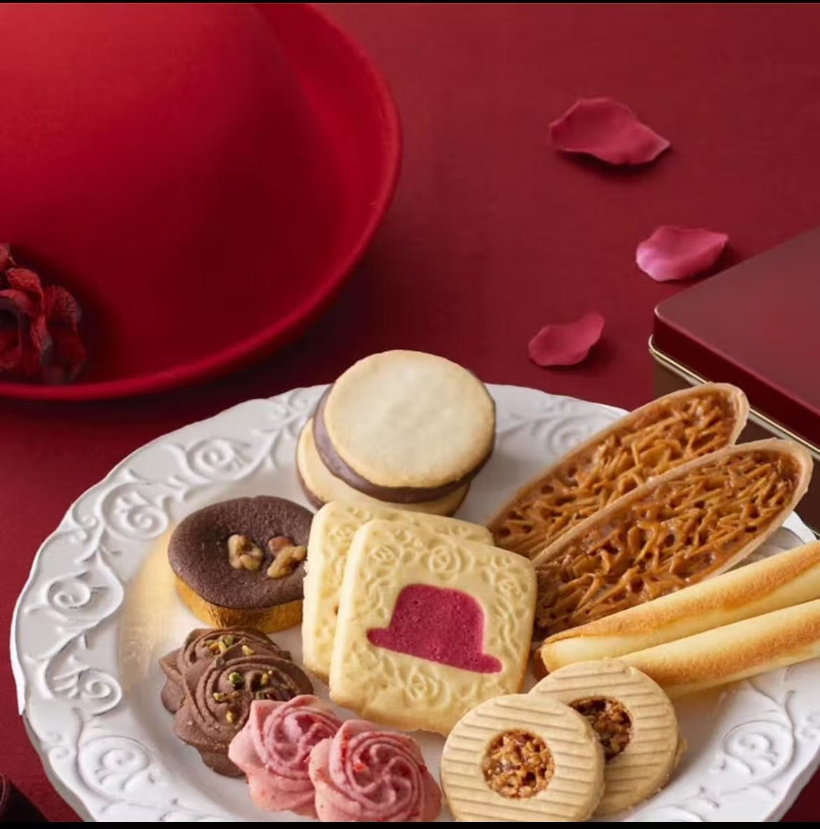 Japan import Biscuit 2025 Version