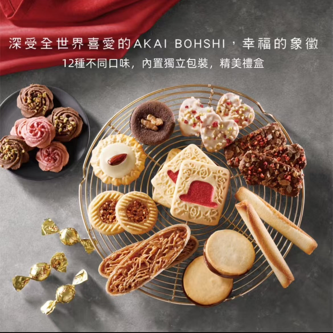 Japan import Biscuit 2025 Version