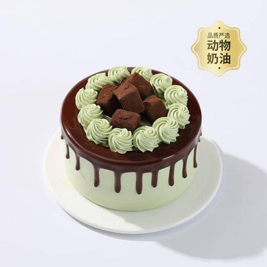 Matcha Coconut Milk Jelly Cake