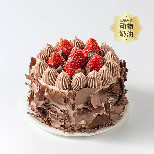 Little Red Riding Hood of the Forest (Strawberry Chocolate cake)