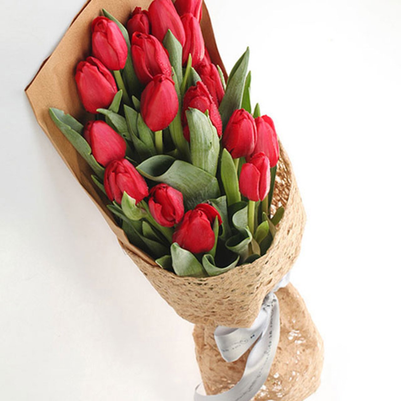 Love by my side(
A selection of 19 superb red tulips. (Tulips are seasonal flowers-