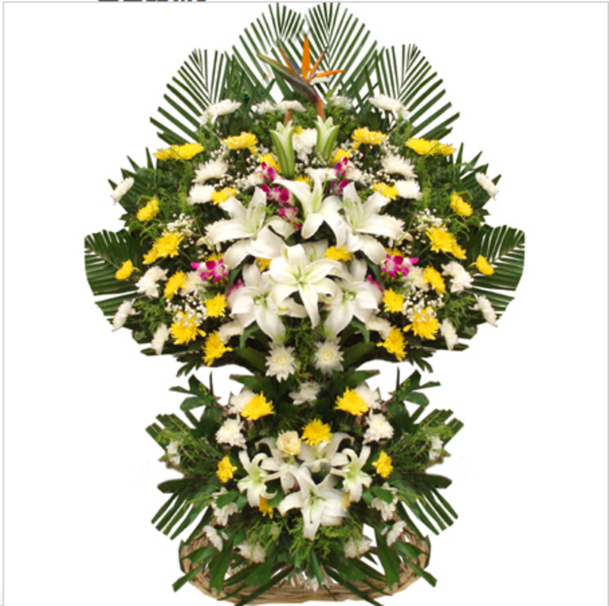 clear and bright(For Funerals)
