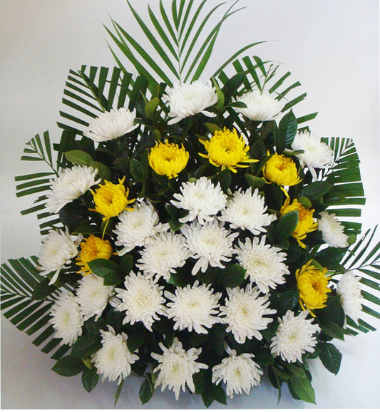 Parting wound(
30 yellow chrysanthemums


-