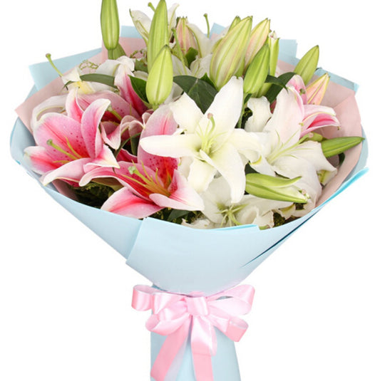 Chunhui(
Mix and match 21 white pink lilies)