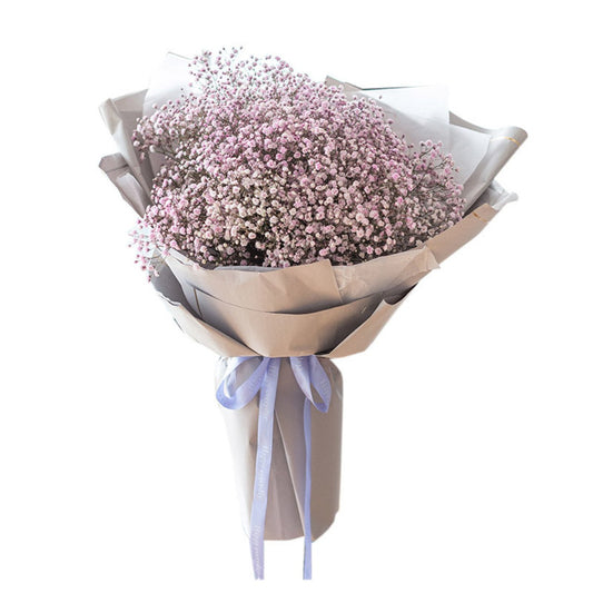 Treasure(
Pink gypsophila-