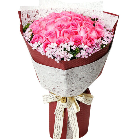 I have you in my dream