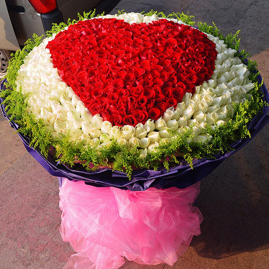 A promise under the rainbow(
520 roses)