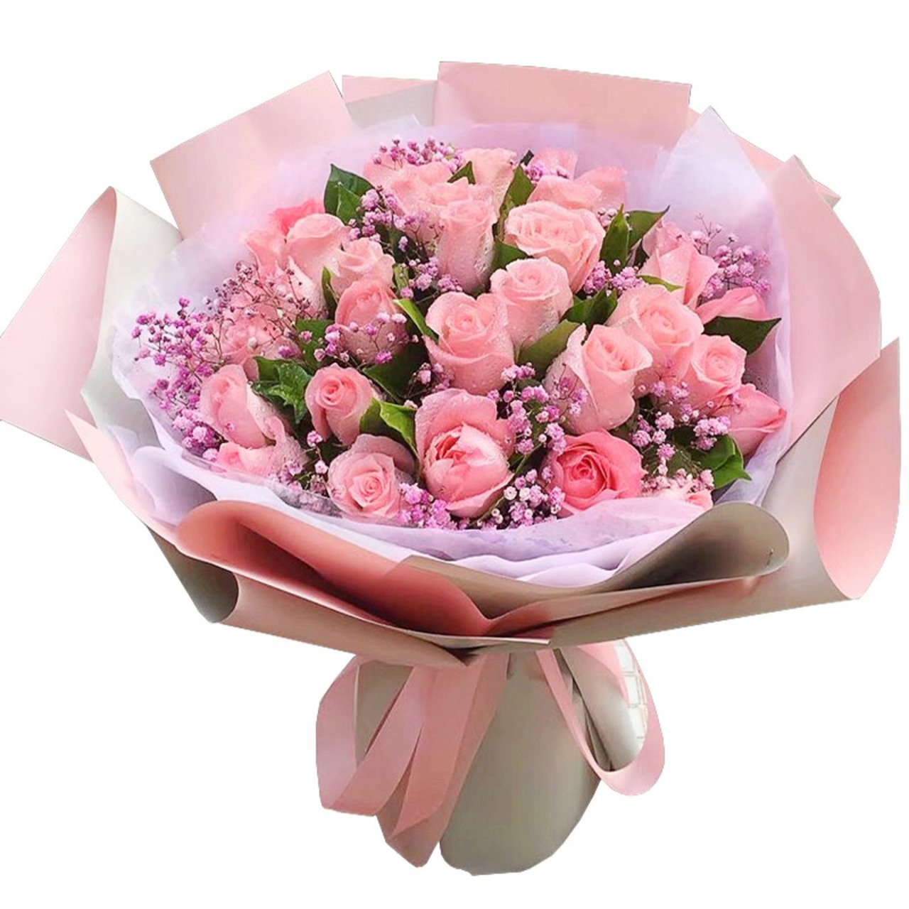 Pampering(
33 Diana Pink Roses-