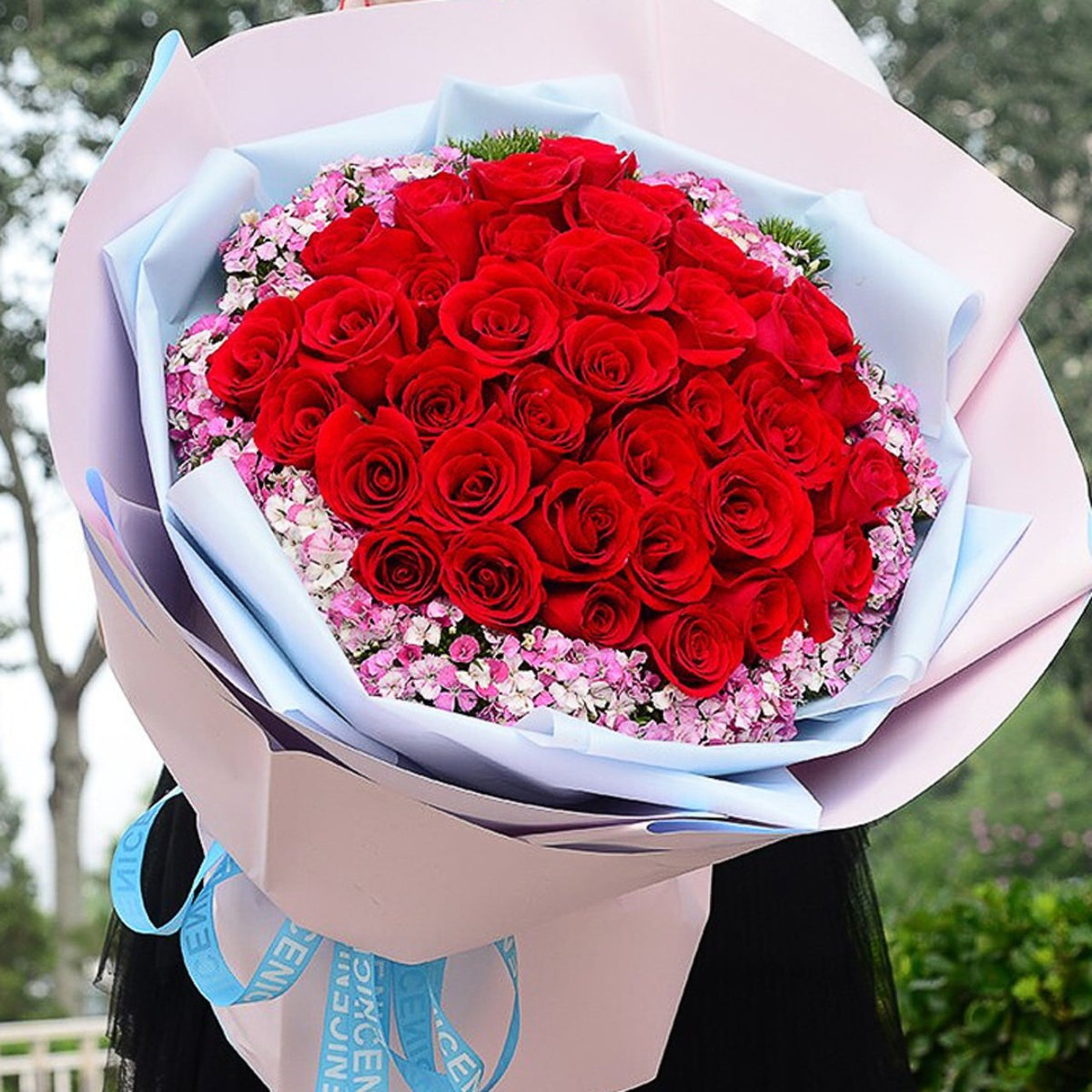 Smile(33 red roses) (4529546625135)