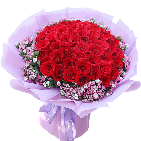 Lost in Paris(66 red roses)