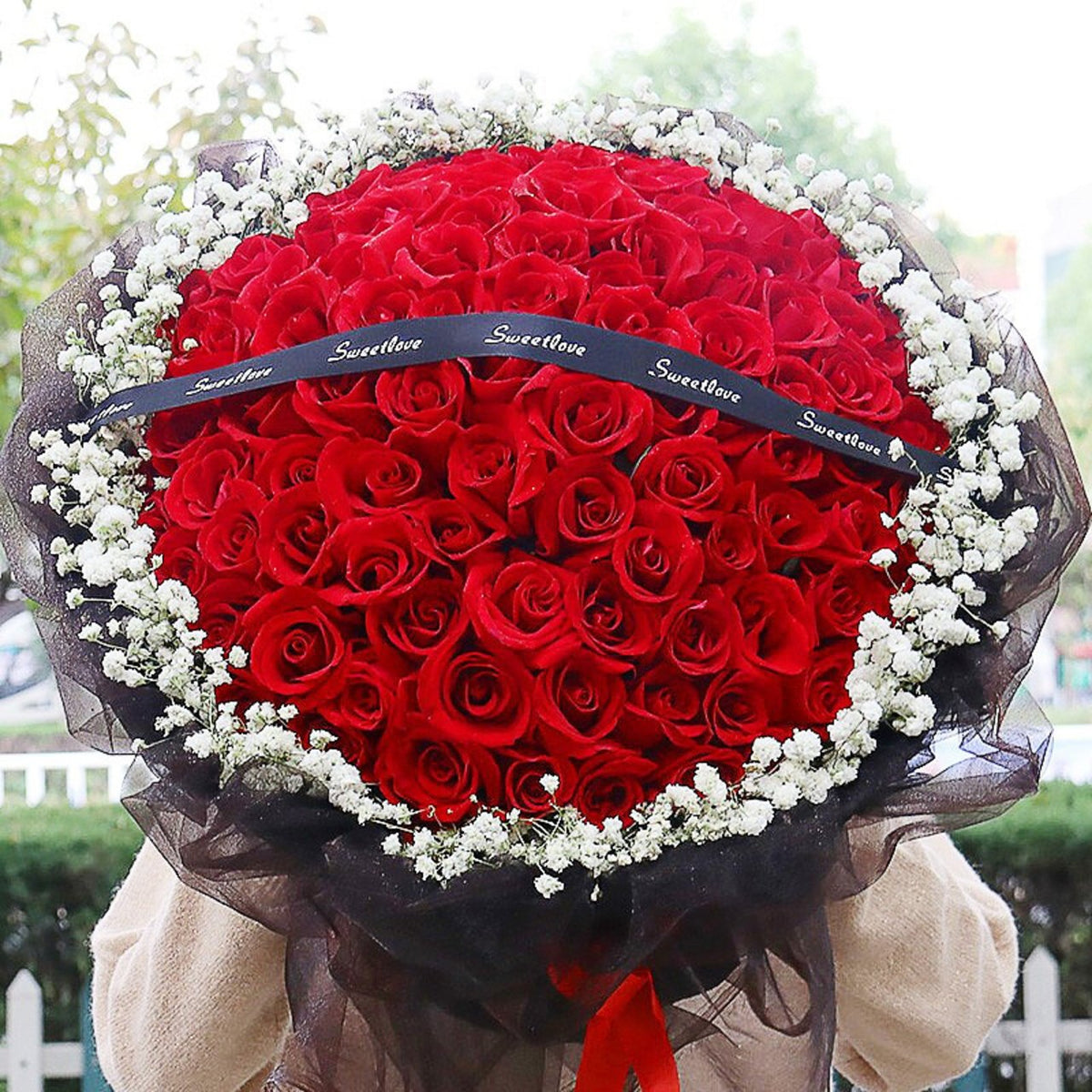 59 Roses 99 red roses Flowers Delivery to Shenezhen/Shaoyang/Zhaoqing/Anyang of ...