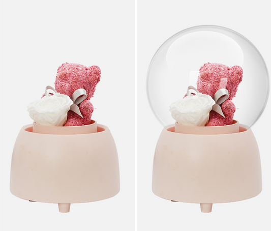 Pink bear Music box- Immortal flower