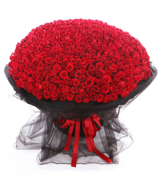 365/999 Roses to China (2309995462756)