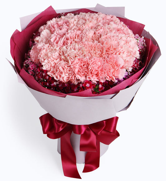 33 pink carnations to China (2312938717284)